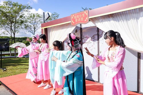海南舉辦新時代文明實踐志愿服務項目展示活動，數字創意賦能志愿服務新風尚